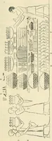 An illustration from The one primeval language traced experimentally through ancient inscriptions in alphabetic characters of lost powers from the four continents including the voice of Israel from the rocks of Sinai and the vestiges of patriarchal tradition from the monuments of Egypt, Eturia, and southern Arabia (1851)