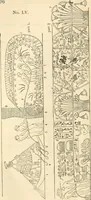 An illustration from The one primeval language traced experimentally through ancient inscriptions in alphabetic characters of lost powers from the four continents including the voice of Israel from the rocks of Sinai and the vestiges of patriarchal tradition from the monuments of Egypt, Eturia, and southern Arabia (1851)