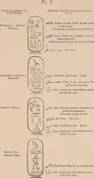 An illustration from The one primeval language traced experimentally through ancient inscriptions in alphabetic characters of lost powers from the four continents including the voice of Israel from the rocks of Sinai and the vestiges of patriarchal tradition from the monuments of Egypt, Eturia, and southern Arabia (1851)