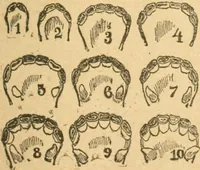 Picture 2 of 11 from One thousand secrets of rich and wise men revealed (1898), leaf 48