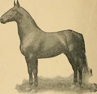 An illustration from One thousand secrets of rich and wise men revealed (1898)