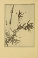 An illustration from On the laws of Japanese painting : an introduction to the study of the art of Japan (1911)