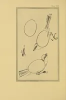 An illustration from On the laws of Japanese painting : an introduction to the study of the art of Japan (1911)