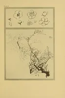 An illustration from On the laws of Japanese painting : an introduction to the study of the art of Japan (1911)