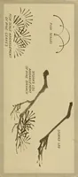 An illustration from On the laws of Japanese painting : an introduction to the study of the art of Japan (1911)
