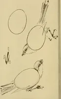 An illustration from On the laws of Japanese painting : an introduction to the study of the art of Japan (1911)