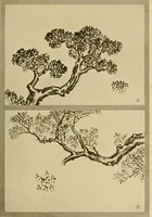 An illustration from On the laws of Japanese painting : an introduction to the study of the art of Japan (1911)