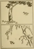 An illustration from On the laws of Japanese painting : an introduction to the study of the art of Japan (1911)