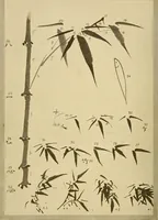 An illustration from On the laws of Japanese painting : an introduction to the study of the art of Japan (1911)