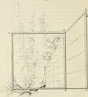 An illustration from On the philosophy of painting: a theoretical and practical treatise.. (1849)