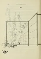 An illustration from On the philosophy of painting: a theoretical and practical treatise.. (1849)