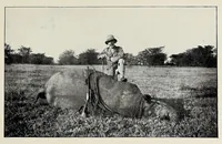 Picture 6 of 13 from On safari : big game hunting in British East Africa with studies in bird-life (1908), leaf 197