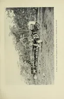 An illustration from On the South African frontier : the adventures and observations of an American in Mashonaland and Matabeleland (1899)