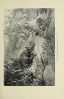 An illustration from On the South African frontier : the adventures and observations of an American in Mashonaland and Matabeleland (1899)