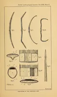 An illustration from On the structure and affinities of the composite bow (1889)