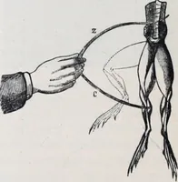 Picture 109 of 207 from The high school physics (1887), leaf 235