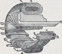 Picture 135 of 207 from The high school physics (1887), leaf 273