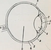 An illustration from The high school physics (1887)