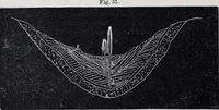 An illustration from The high school physics (1887)