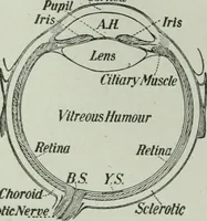 Picture 191 of 279 from The Ontario high school physics (1917), leaf 367
