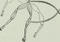 An illustration from The Ontario high school physics (1917)
