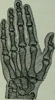 An illustration from The Ontario high school physics (1917)