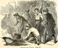 An illustration from On time : or, The young captain of the Ucayga steamer (1869)