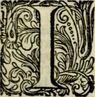 An illustration from Oorsprongk, Begin, en Vervolgh der Nederlandsche Oorlogen, beroerten, en Borgerlyke Oneenigheden : beginnende met d'opdracht der selve Landen, gedaen by Keyser Karel den Vijfden, aen sijnen Soon Konink Philippus van Spanjen, en eindigende met het einde van 't jaer M D C (1679)