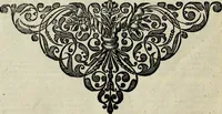 An illustration from Oorsprongk, Begin, en Vervolgh der Nederlandsche Oorlogen, beroerten, en Borgerlyke Oneenigheden : beginnende met d'opdracht der selve Landen, gedaen by Keyser Karel den Vijfden, aen sijnen Soon Konink Philippus van Spanjen, en eindigende met het einde van 't jaer M D C (1679)