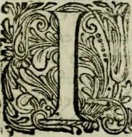An illustration from Oorsprongk, Begin, en Vervolgh der Nederlandsche Oorlogen, beroerten, en Borgerlyke Oneenigheden : beginnende met d'opdracht der selve Landen, gedaen by Keyser Karel den Vijfden, aen sijnen Soon Konink Philippus van Spanjen, en eindigende met het einde van 't jaer M D C (1679)