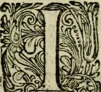 An illustration from Oorsprongk, Begin, en Vervolgh der Nederlandsche Oorlogen, beroerten, en Borgerlyke Oneenigheden : beginnende met d'opdracht der selve Landen, gedaen by Keyser Karel den Vijfden, aen sijnen Soon Konink Philippus van Spanjen, en eindigende met het einde van 't jaer M D C (1679)