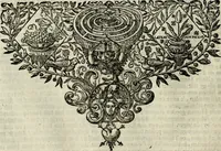 Picture 33 of 56 from Oorsprongk, Begin, en Vervolgh der Nederlandsche Oorlogen, beroerten, en Borgerlyke Oneenigheden : beginnende met d'opdracht der selve Landen, gedaen by Keyser Karel den Vijfden, aen sijnen Soon Konink Philippus van Spanjen, en eindigende met het einde van 't jaer M D C (1679), leaf 555