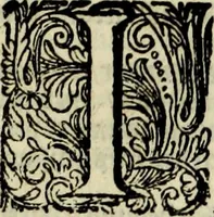 Picture 43 of 45 from Oorsprongk, Begin, en Vervolgh der Nederlandsche Oorlogen, beroerten, en Borgerlyke Oneenigheden : beginnende met d'opdracht der selve Landen, gedaen by Keyser Karel den Vijfden, aen sijnen Soon Konink Philippus van Spanjen, en eindigende met het einde van 't jaer M D C (1679), leaf 1063