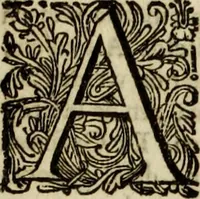 An illustration from Oorsprongk, Begin, en Vervolgh der Nederlandsche Oorlogen, beroerten, en Borgerlyke Oneenigheden : beginnende met d'opdracht der selve Landen, gedaen by Keyser Karel den Vijfden, aen sijnen Soon Konink Philippus van Spanjen, en eindigende met het einde van 't jaer M D C (1679)