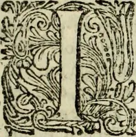 Picture 13 of 45 from Oorsprongk, Begin, en Vervolgh der Nederlandsche Oorlogen, beroerten, en Borgerlyke Oneenigheden : beginnende met d'opdracht der selve Landen, gedaen by Keyser Karel den Vijfden, aen sijnen Soon Konink Philippus van Spanjen, en eindigende met het einde van 't jaer M D C (1679), leaf 254