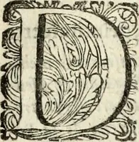 Picture 15 of 45 from Oorsprongk, Begin, en Vervolgh der Nederlandsche Oorlogen, beroerten, en Borgerlyke Oneenigheden : beginnende met d'opdracht der selve Landen, gedaen by Keyser Karel den Vijfden, aen sijnen Soon Konink Philippus van Spanjen, en eindigende met het einde van 't jaer M D C (1679), leaf 322