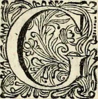 An illustration from Oorsprongk, Begin, en Vervolgh der Nederlandsche Oorlogen, beroerten, en Borgerlyke Oneenigheden : beginnende met d'opdracht der selve Landen, gedaen by Keyser Karel den Vijfden, aen sijnen Soon Konink Philippus van Spanjen, en eindigende met het einde van 't jaer M D C (1679)