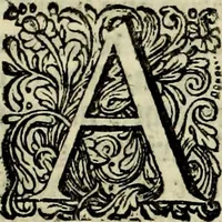An illustration from Oorsprongk, Begin, en Vervolgh der Nederlandsche Oorlogen, beroerten, en Borgerlyke Oneenigheden : beginnende met d'opdracht der selve Landen, gedaen by Keyser Karel den Vijfden, aen sijnen Soon Konink Philippus van Spanjen, en eindigende met het einde van 't jaer M D C (1679)