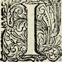 An illustration from Oorsprongk, Begin, en Vervolgh der Nederlandsche Oorlogen, beroerten, en Borgerlyke Oneenigheden : beginnende met d'opdracht der selve Landen, gedaen by Keyser Karel den Vijfden, aen sijnen Soon Konink Philippus van Spanjen, en eindigende met het einde van 't jaer M D C (1679)