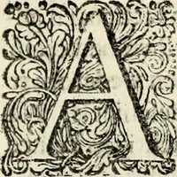 Picture 25 of 45 from Oorsprongk, Begin, en Vervolgh der Nederlandsche Oorlogen, beroerten, en Borgerlyke Oneenigheden : beginnende met d'opdracht der selve Landen, gedaen by Keyser Karel den Vijfden, aen sijnen Soon Konink Philippus van Spanjen, en eindigende met het einde van 't jaer M D C (1679), leaf 489