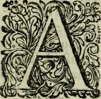 An illustration from Oorsprongk, Begin, en Vervolgh der Nederlandsche Oorlogen, beroerten, en Borgerlyke Oneenigheden : beginnende met d'opdracht der selve Landen, gedaen by Keyser Karel den Vijfden, aen sijnen Soon Konink Philippus van Spanjen, en eindigende met het einde van 't jaer M D C (1679)