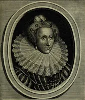 Picture 10 of 37 from Oorsprongk, Begin, en Vervolgh der Nederlandsche Oorlogen, beroerten, en Borgerlyke Oneenigheden : beginnende met d'opdracht der selve Landen, gedaen by Keyser Karel den Vijfden, aen sijnen Soon Konink Philippus van Spanjen, en eindigende met het einde van 't jaer M D C (1679), leaf 252