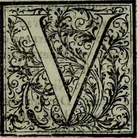 An illustration from Oorsprongk, Begin, en Vervolgh der Nederlandsche Oorlogen, beroerten, en Borgerlyke Oneenigheden : beginnende met d'opdracht der selve Landen, gedaen by Keyser Karel den Vijfden, aen sijnen Soon Konink Philippus van Spanjen, en eindigende met het einde van 't jaer M D C (1679)