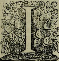 An illustration from Oorsprongk, Begin, en Vervolgh der Nederlandsche Oorlogen, beroerten, en Borgerlyke Oneenigheden : beginnende met d'opdracht der selve Landen, gedaen by Keyser Karel den Vijfden, aen sijnen Soon Konink Philippus van Spanjen, en eindigende met het einde van 't jaer M D C (1679)