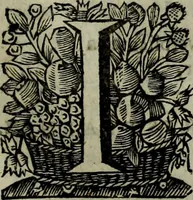 An illustration from Oorsprongk, Begin, en Vervolgh der Nederlandsche Oorlogen, beroerten, en Borgerlyke Oneenigheden : beginnende met d'opdracht der selve Landen, gedaen by Keyser Karel den Vijfden, aen sijnen Soon Konink Philippus van Spanjen, en eindigende met het einde van 't jaer M D C (1679)