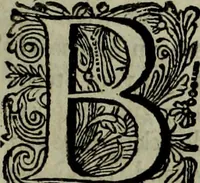 An illustration from Oorsprongk, Begin, en Vervolgh der Nederlandsche Oorlogen, beroerten, en Borgerlyke Oneenigheden : beginnende met d'opdracht der selve Landen, gedaen by Keyser Karel den Vijfden, aen sijnen Soon Konink Philippus van Spanjen, en eindigende met het einde van 't jaer M D C (1679)