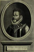 An illustration from Oorsprongk, Begin, en Vervolgh der Nederlandsche Oorlogen, beroerten, en Borgerlyke Oneenigheden : beginnende met d'opdracht der selve Landen, gedaen by Keyser Karel den Vijfden, aen sijnen Soon Konink Philippus van Spanjen, en eindigende met het einde van 't jaer M D C (1679)