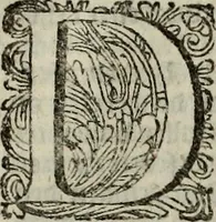 An illustration from Oorsprongk, Begin, en Vervolgh der Nederlandsche Oorlogen, beroerten, en Borgerlyke Oneenigheden : beginnende met d'opdracht der selve Landen, gedaen by Keyser Karel den Vijfden, aen sijnen Soon Konink Philippus van Spanjen, en eindigende met het einde van 't jaer M D C (1679)