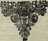 An illustration from Oorsprongk, Begin, en Vervolgh der Nederlandsche Oorlogen, beroerten, en Borgerlyke Oneenigheden : beginnende met d'opdracht der selve Landen, gedaen by Keyser Karel den Vijfden, aen sijnen Soon Konink Philippus van Spanjen, en eindigende met het einde van 't jaer M D C (1679)