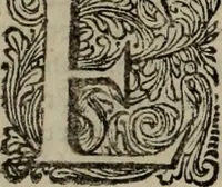 Picture 6 of 70 from Oorsprongk, Begin, en Vervolgh der Nederlandsche Oorlogen, beroerten, en Borgerlyke Oneenigheden : beginnende met d'opdracht der selve Landen, gedaen by Keyser Karel den Vijfden, aen sijnen Soon Konink Philippus van Spanjen, en eindigende met het einde van 't jaer M D C (1679), leaf 16